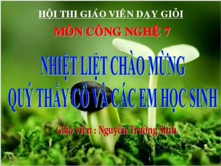 bai 19 cac bien phap cham soc cay trong [Compatibility Mode]   PowerPoint