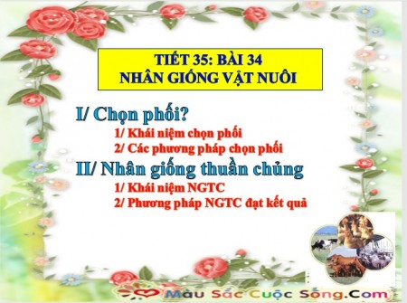 Bai 34 nhan giong vat nuoi hay [Compatibility Mode]   PowerPoint