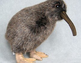 Chim-Kiwi-kiwi-bird-stuffed-f705.jpg
